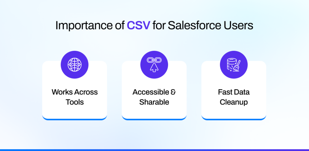 Importance of CSV for Salesforce Users